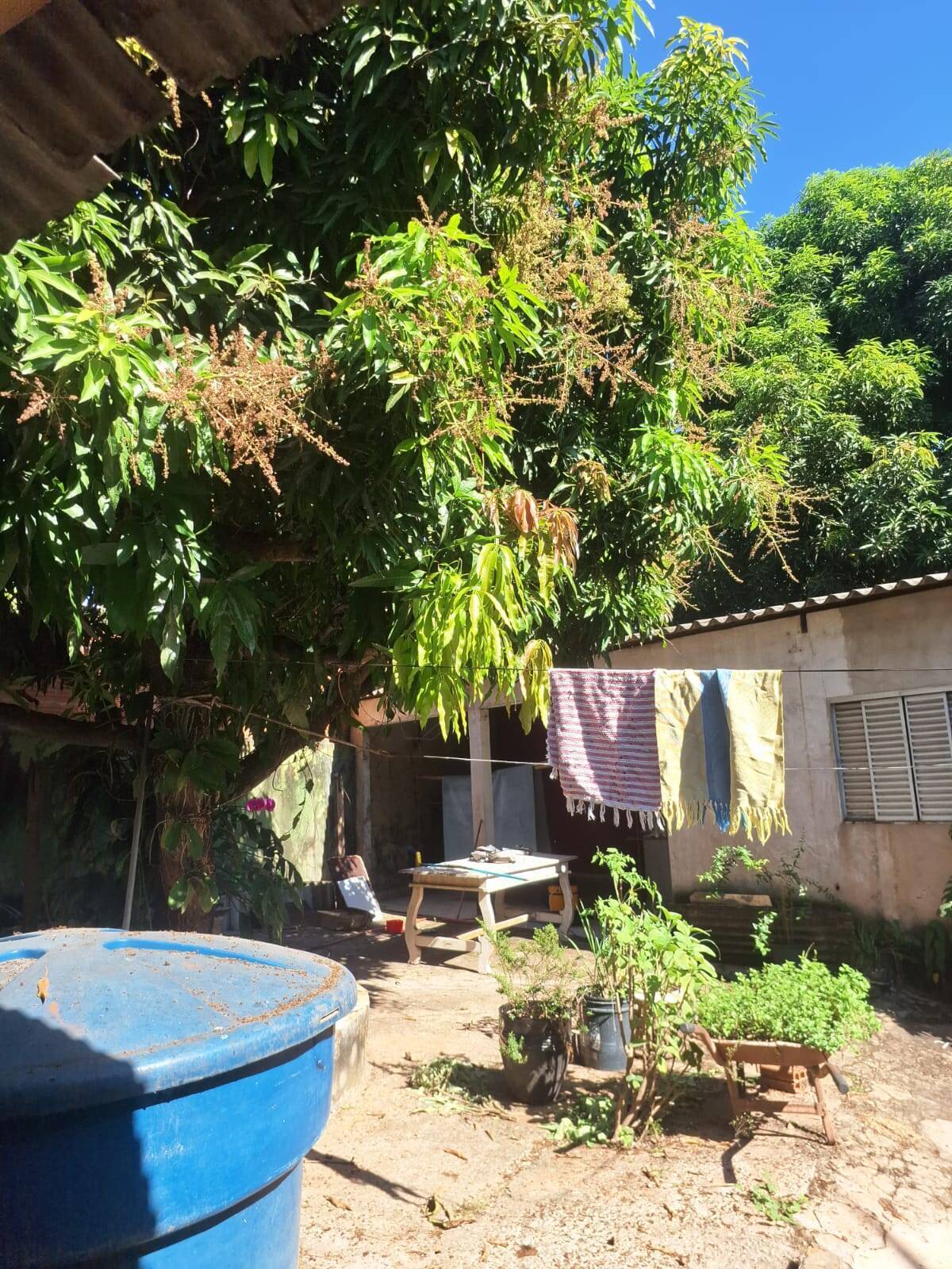 Casa, 3 quartos, 230 m² - Foto 4