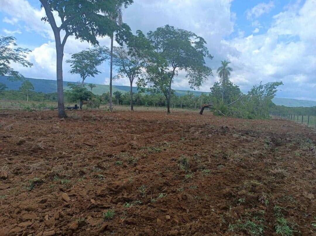 Depósito-Galpão - Foto 30
