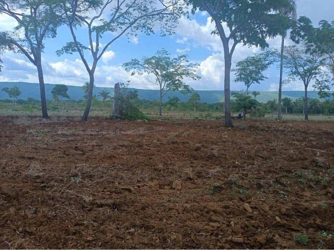 Depósito-Galpão - Foto 31