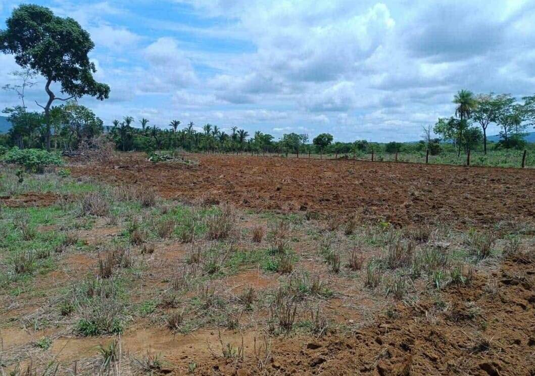 Depósito-Galpão - Foto 34