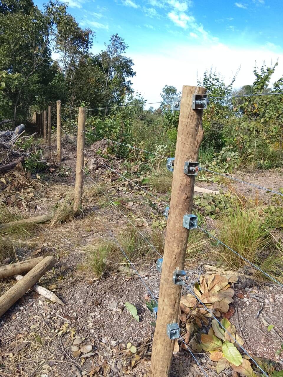 Sítio, 1 quarto, 3 hectares - Foto 1