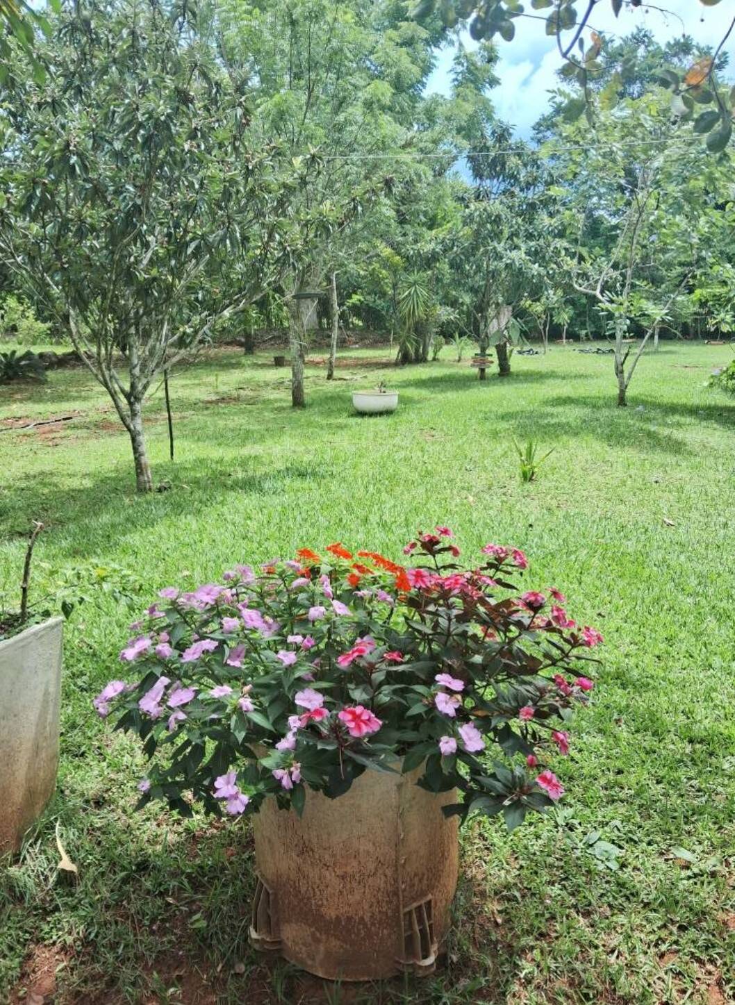 Depósito-Galpão - Foto 5
