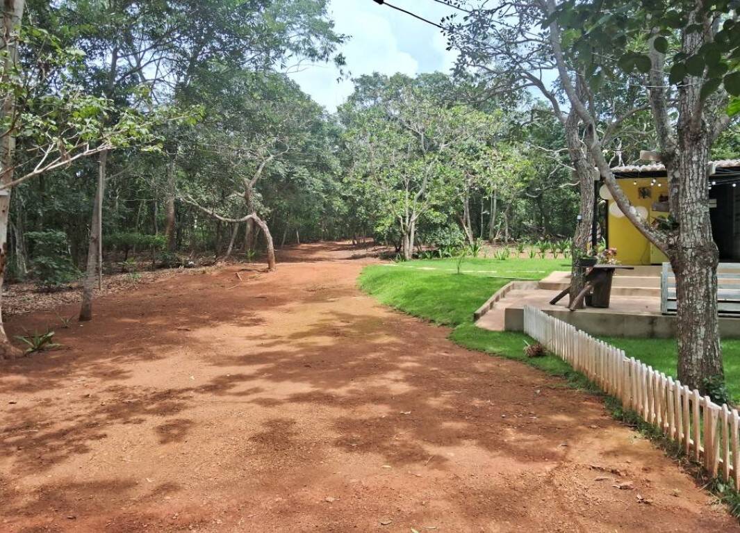 Depósito-Galpão - Foto 2