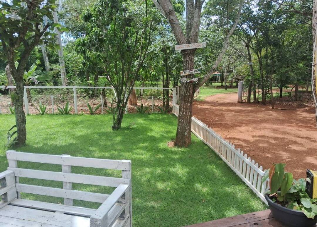Depósito-Galpão - Foto 7