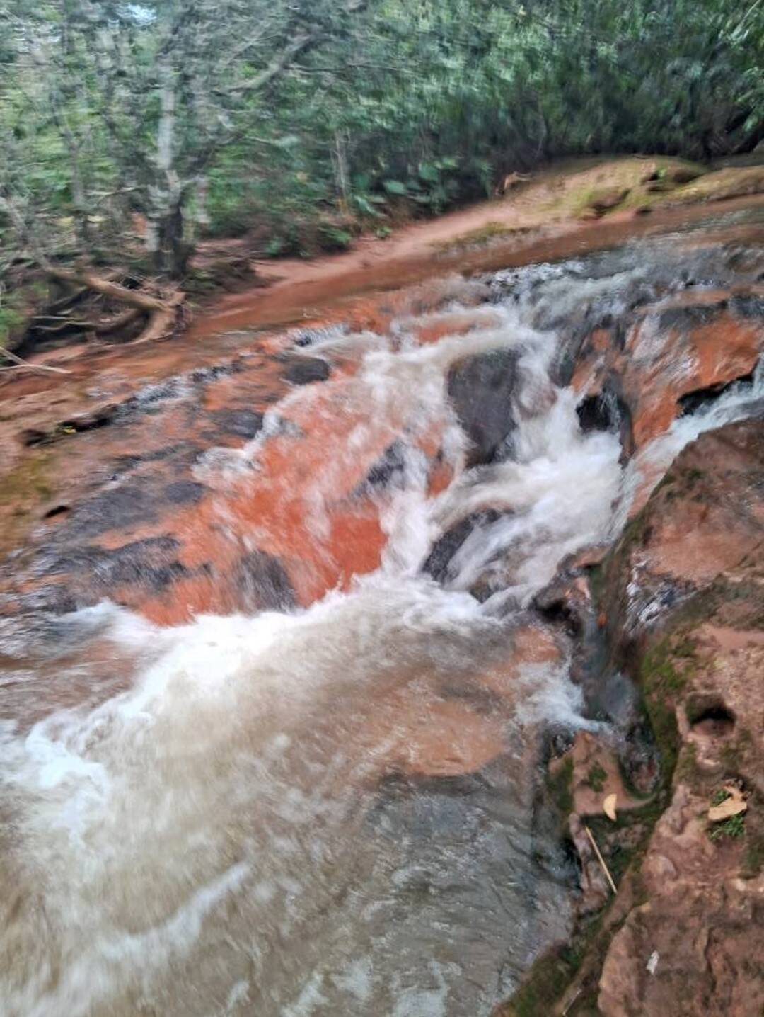 Depósito-Galpão - Foto 8