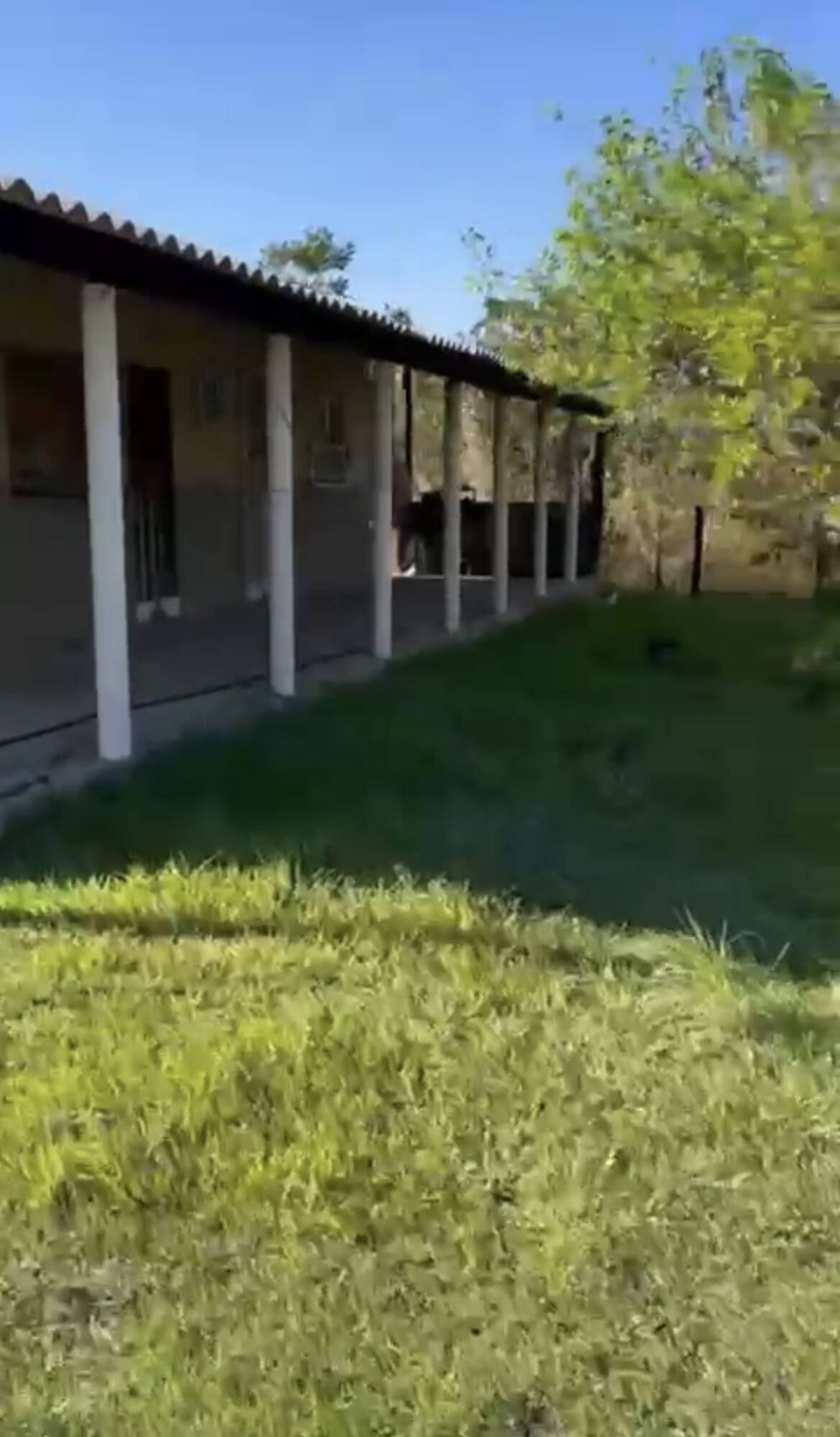Sítio, 2 quartos, 1000 m² - Foto 4