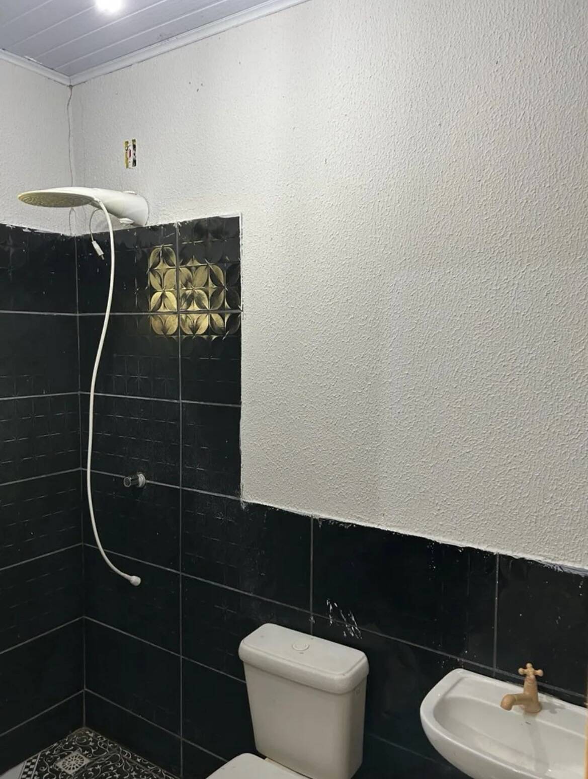 Sítio, 2 quartos, 1000 m² - Foto 8