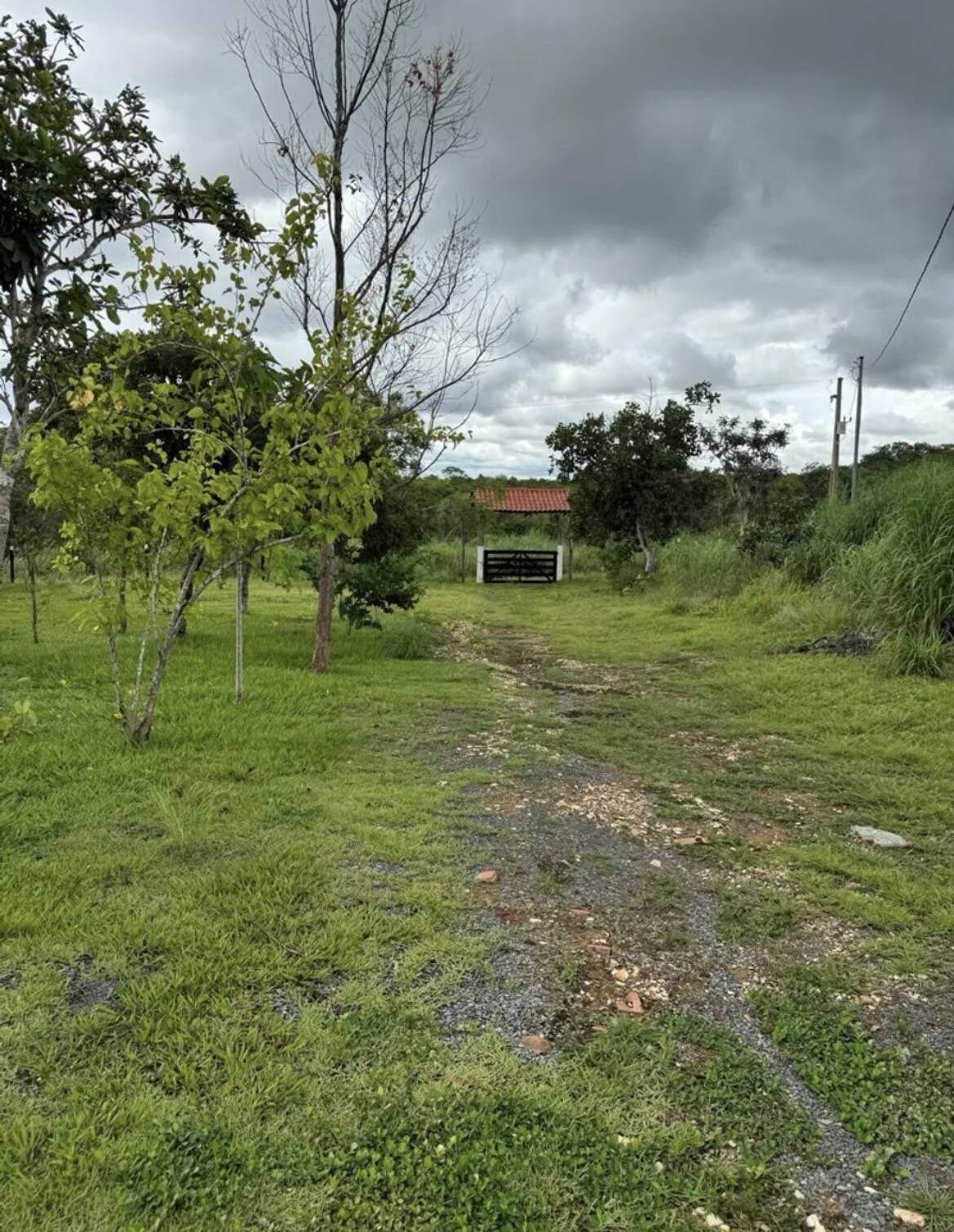 Sítio, 2 quartos, 1000 m² - Foto 11