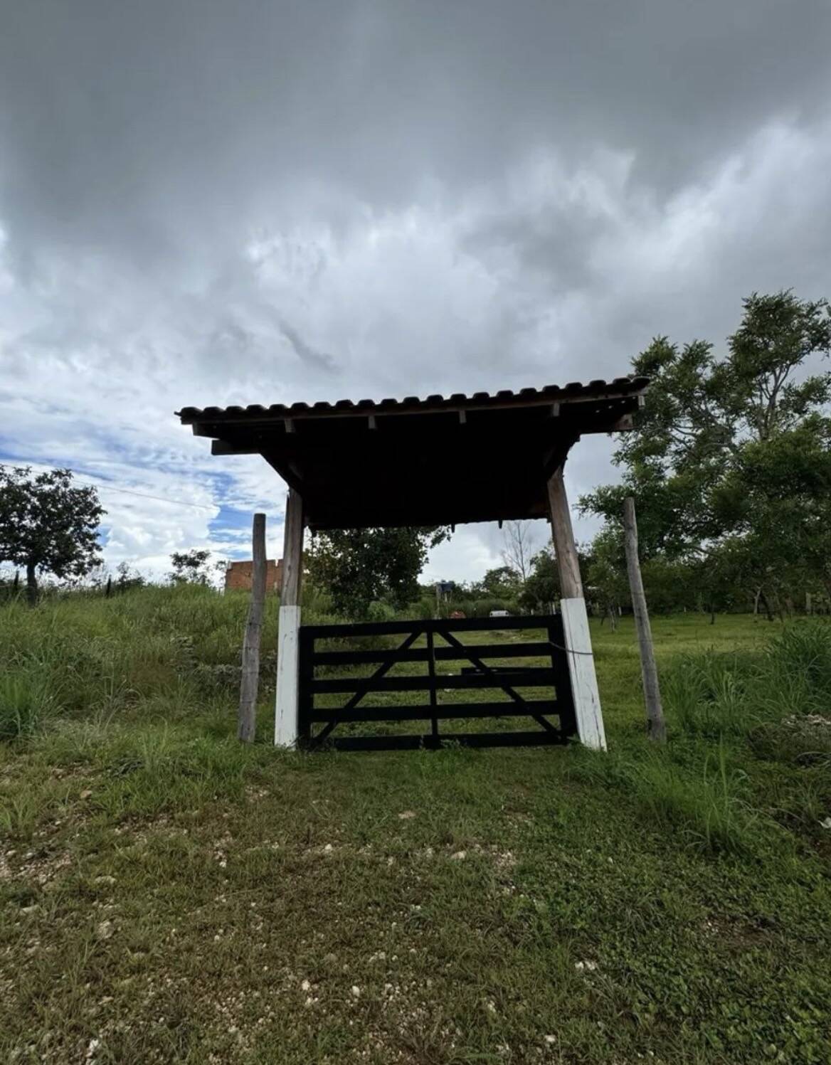 Sítio, 2 quartos, 1000 m² - Foto 1
