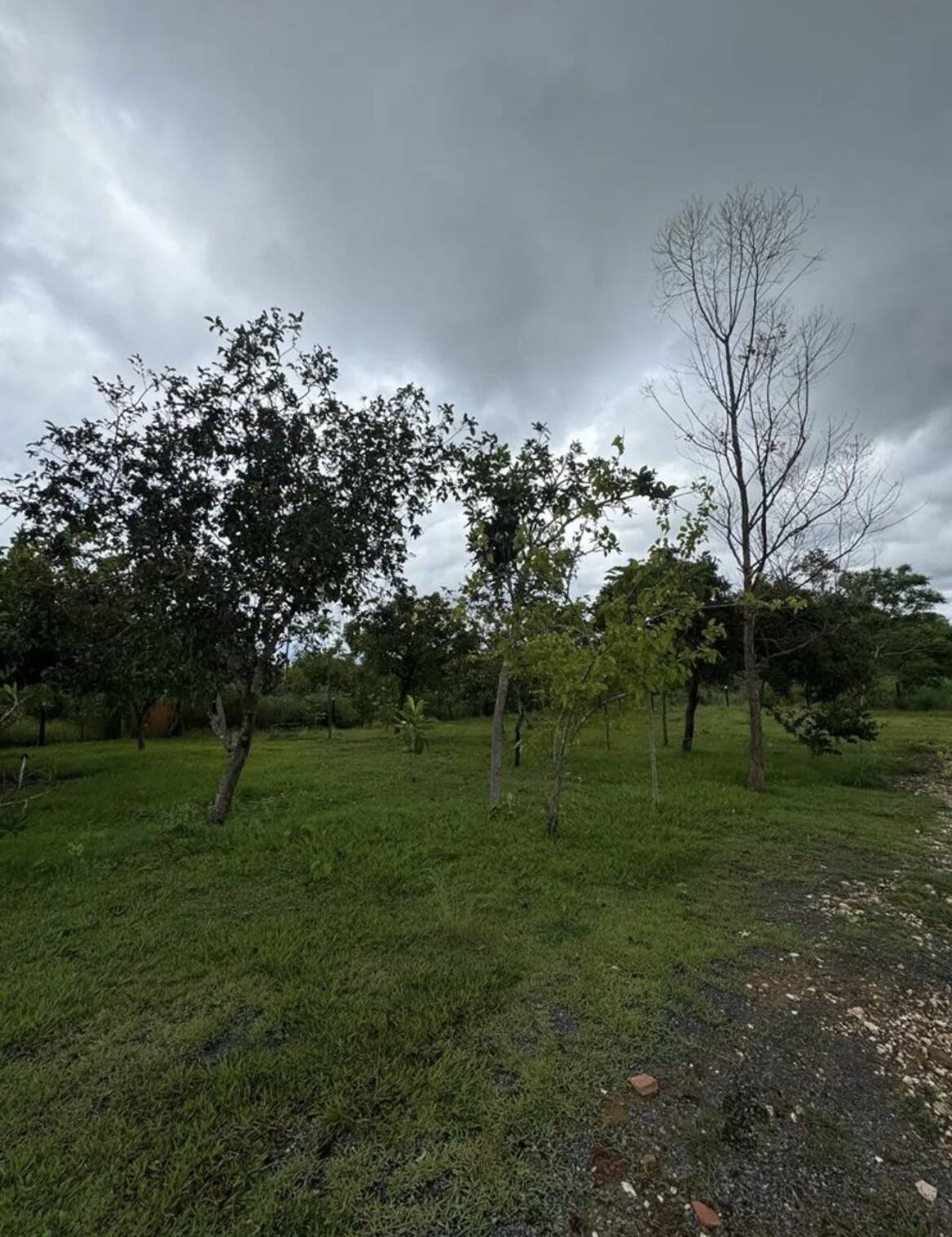 Sítio, 2 quartos, 1000 m² - Foto 18