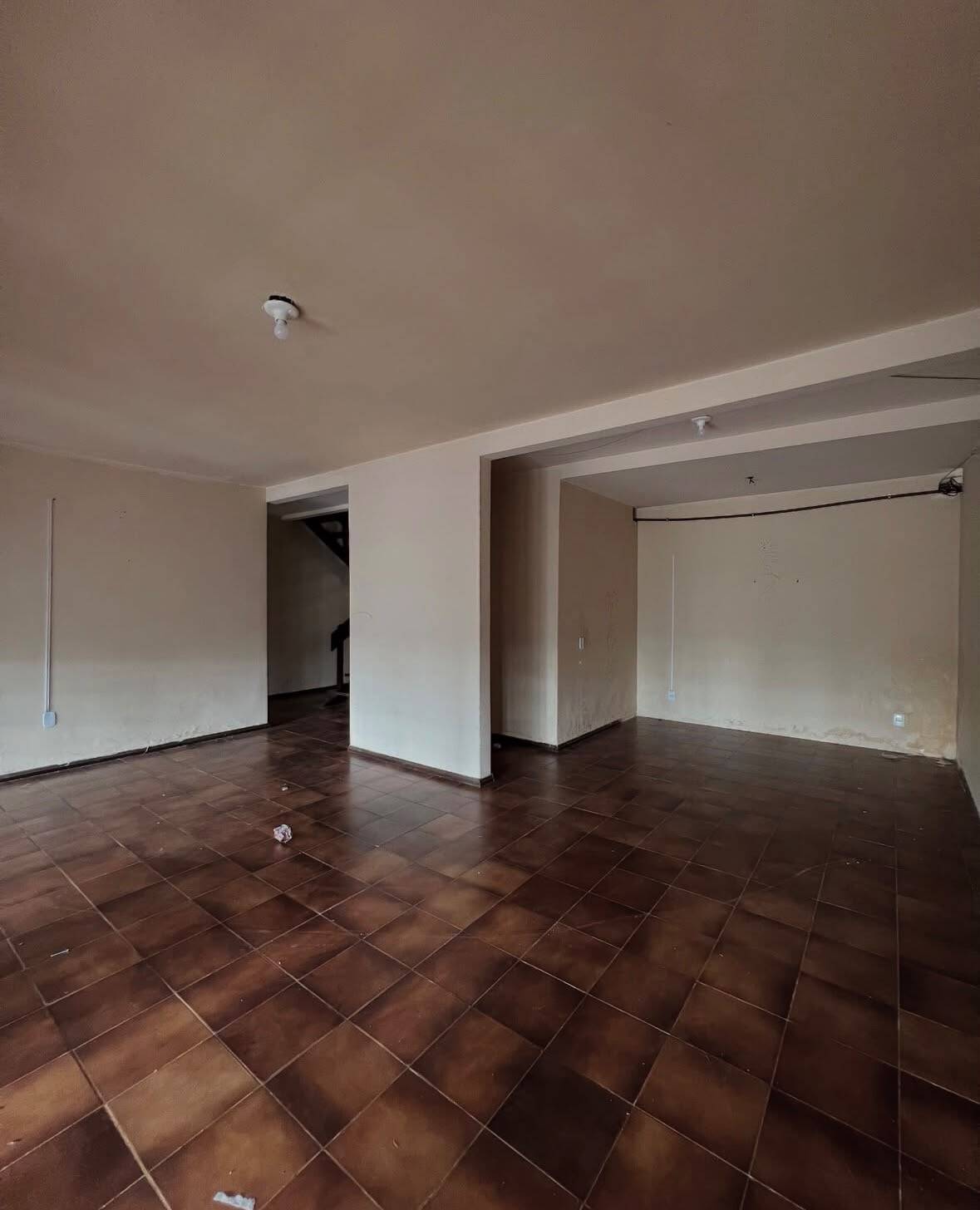 Casa, 3 quartos, 600 m² - Foto 7