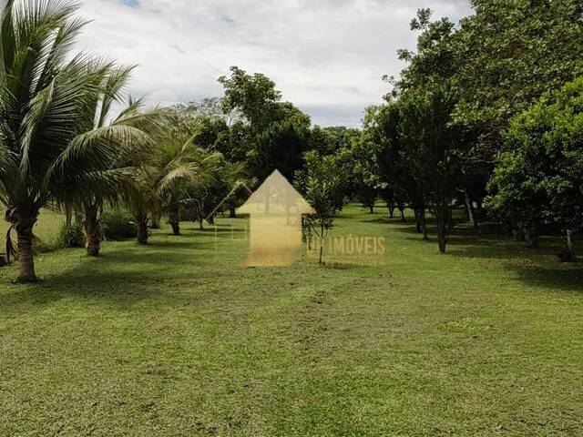 #FA3666 - Chácara para Venda em Diamantino - MT - 1