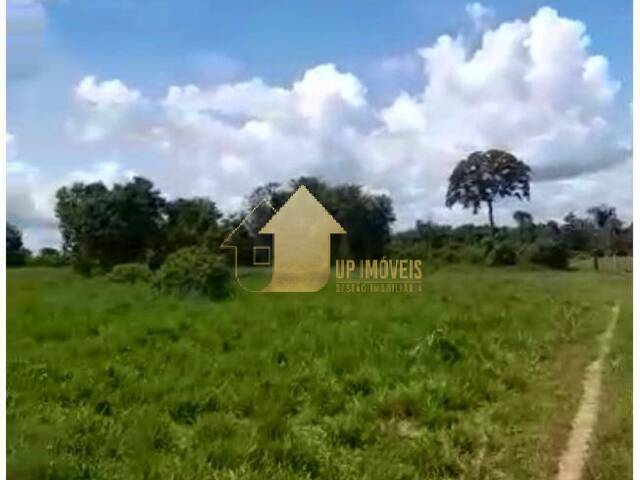 #FA3668 - Fazenda para Venda em Brasnorte - MT - 1