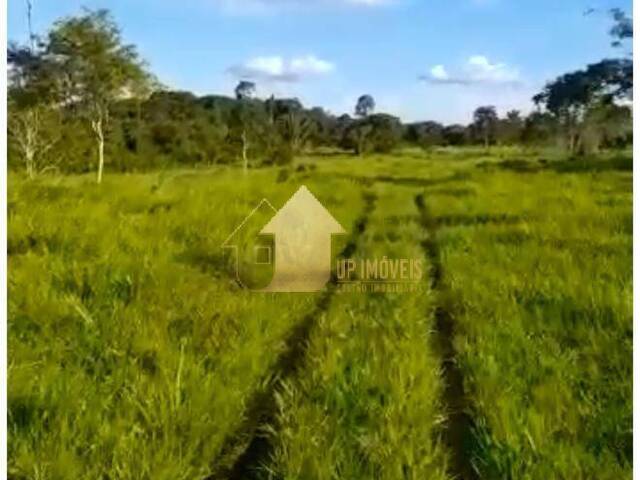 #FA3668 - Fazenda para Venda em Brasnorte - MT - 3