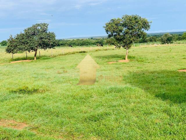 #FA3681 - Fazenda para Venda em Chapada dos Guimarães - MT - 1