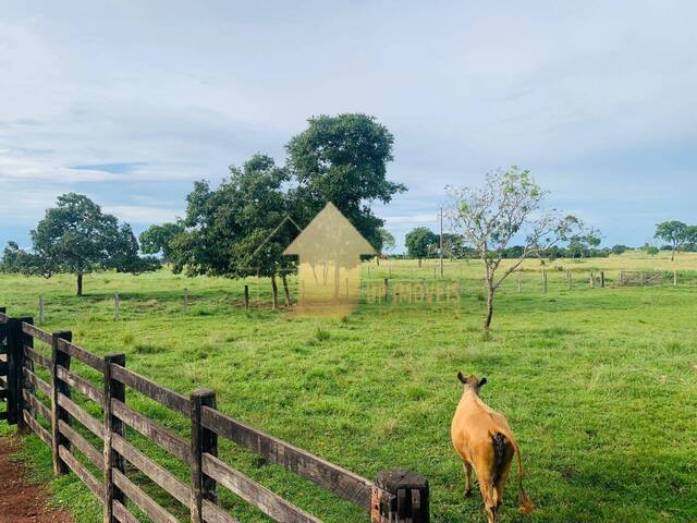 #FA3681 - Fazenda para Venda em Chapada dos Guimarães - MT - 2