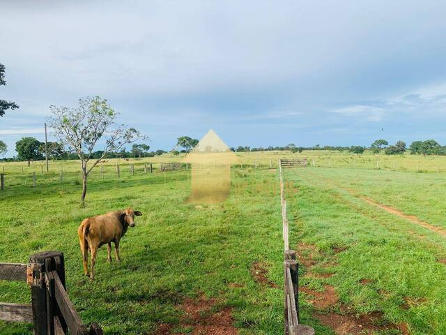 #FA3681 - Fazenda para Venda em Chapada dos Guimarães - MT - 3