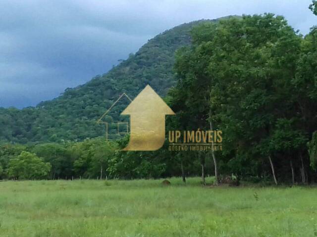 #CH3684 - Chácara para Venda em Santo Antônio do Leverger - MT - 3