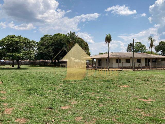 #FA3685 - Fazenda para Venda em Alto Garças - MT - 1
