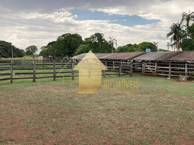 #FA3685 - Fazenda para Venda em Alto Garças - MT - 3