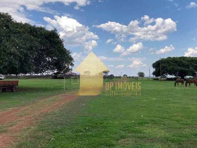 #FA3685 - Fazenda para Venda em Alto Garças - MT - 2