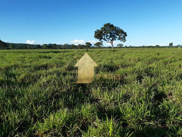 #FA3686 - Fazenda para Venda em Cuiabá - MT - 1