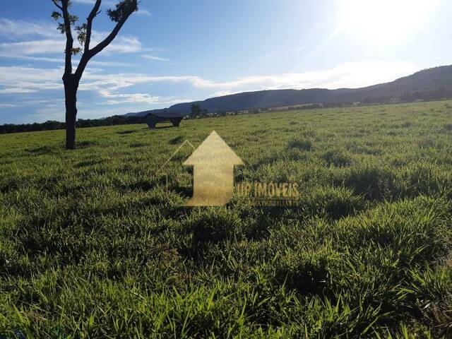 #FA3686 - Fazenda para Venda em Cuiabá - MT - 2