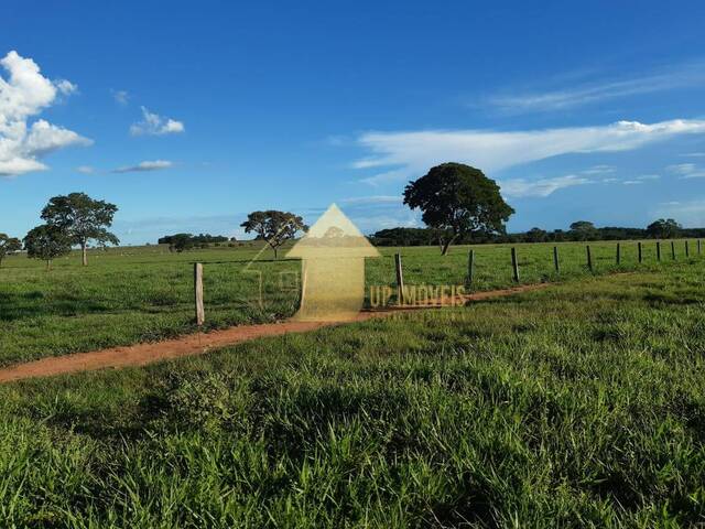 #FA3686 - Fazenda para Venda em Cuiabá - MT - 3