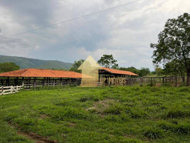 #FA3699 - Fazenda para Venda em Acorizal - MT - 2