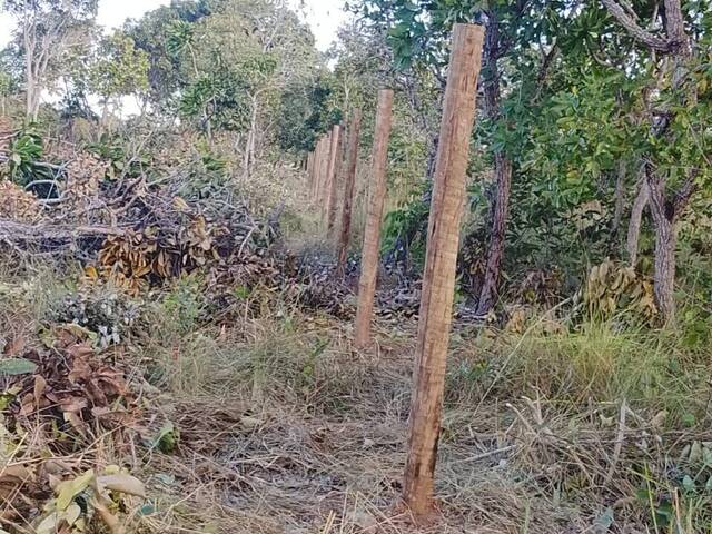Chácara para Venda em Cuiabá - 3