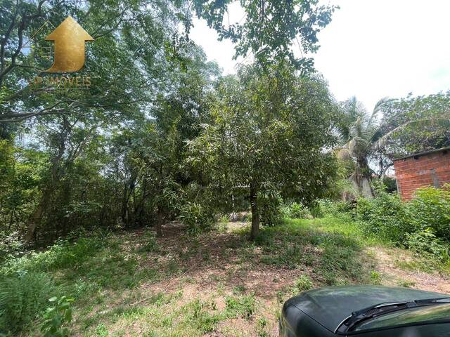 Sitio para Venda em Cuiabá - 5