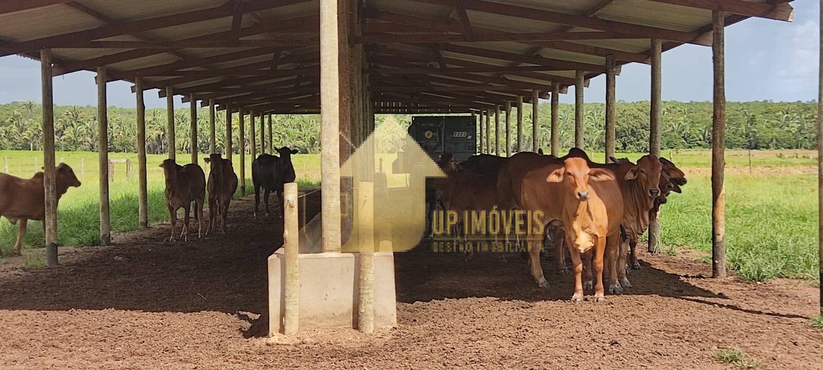 Terreno à venda, 93m² - Foto 9