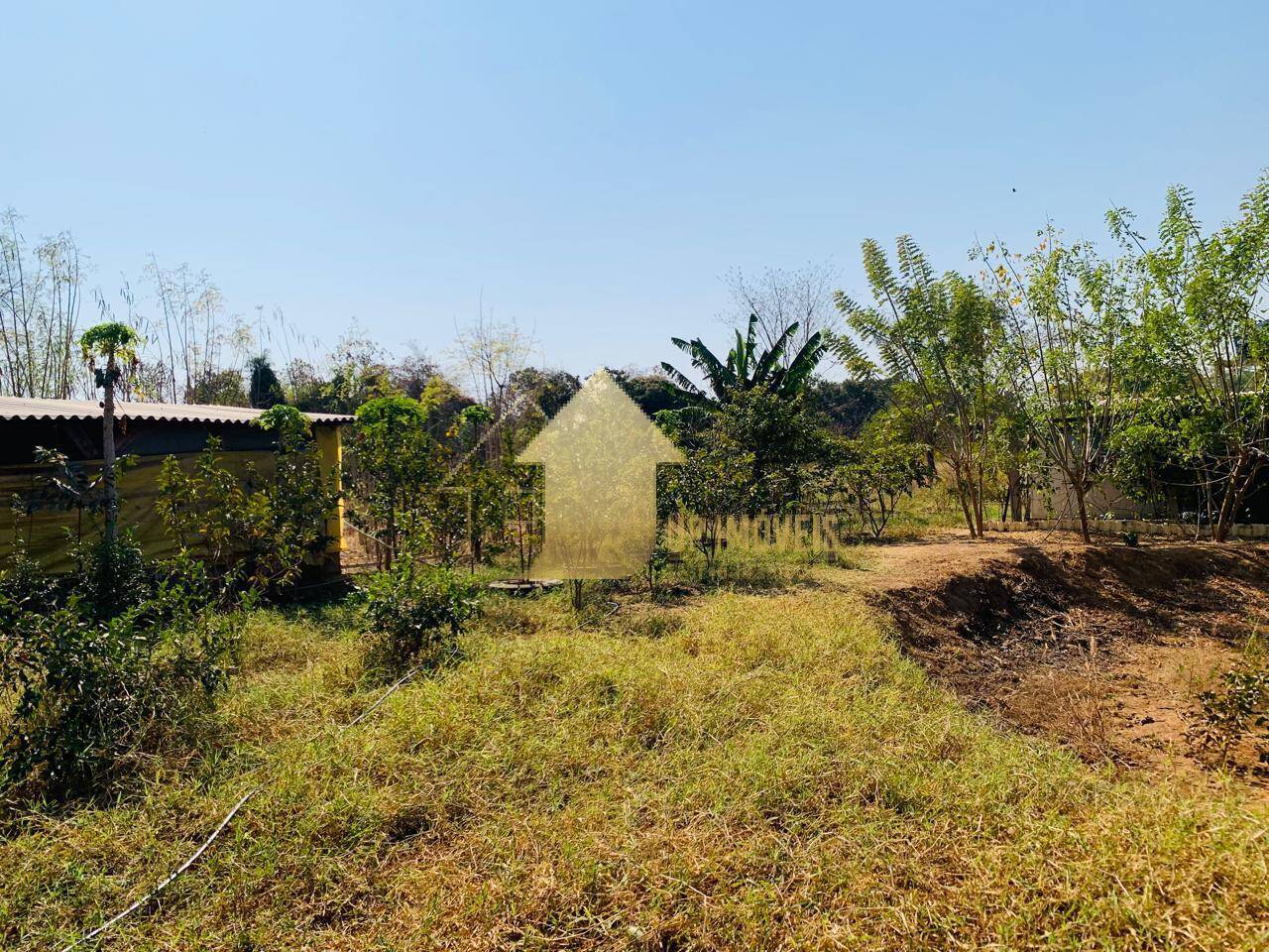 Fazenda à venda com 2 quartos, 100m² - Foto 6