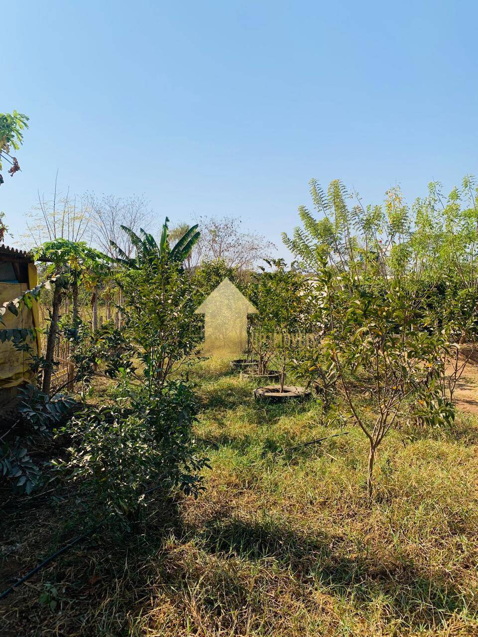 Fazenda à venda com 2 quartos, 100m² - Foto 9