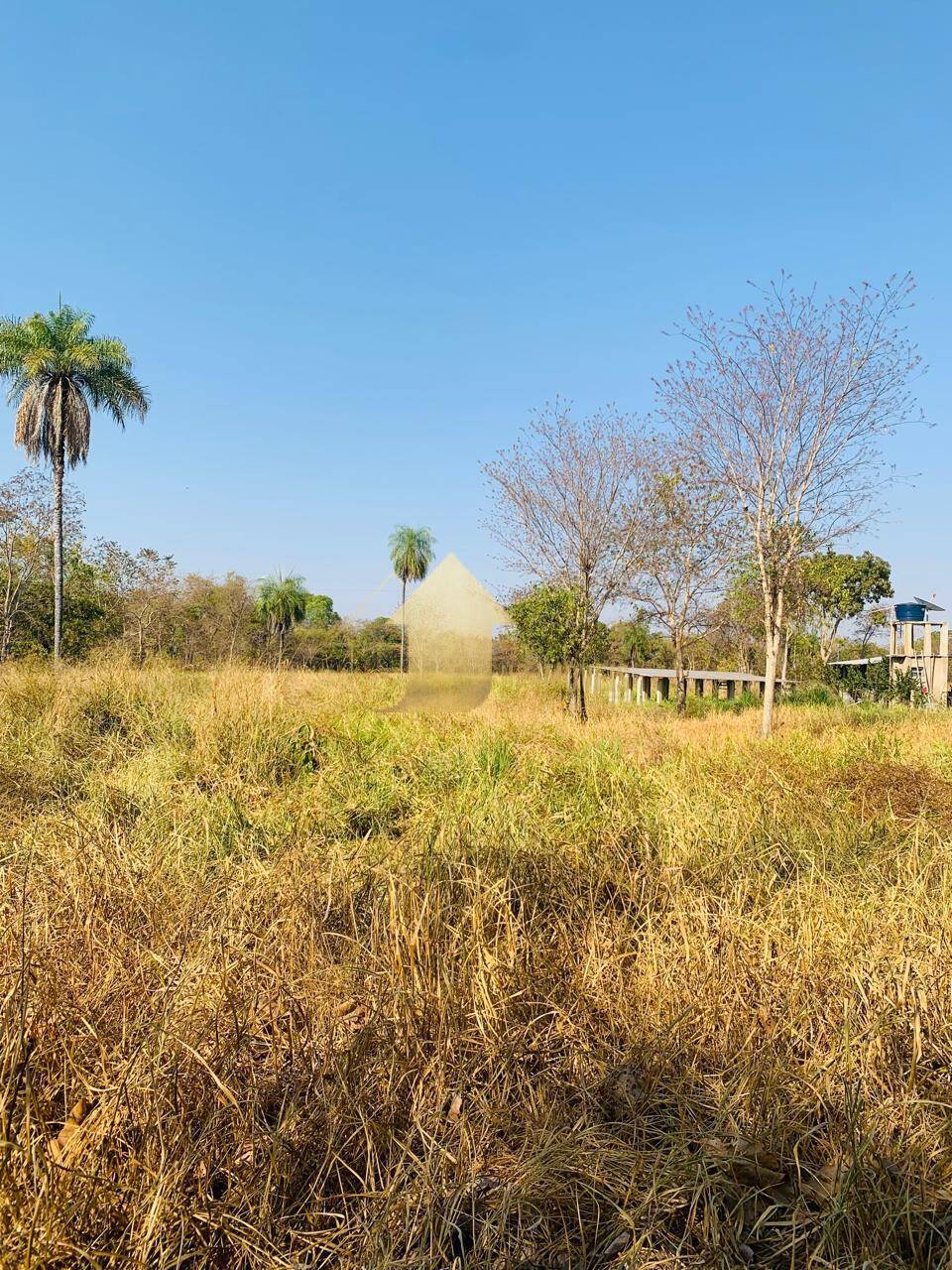 Fazenda à venda com 2 quartos, 100m² - Foto 10