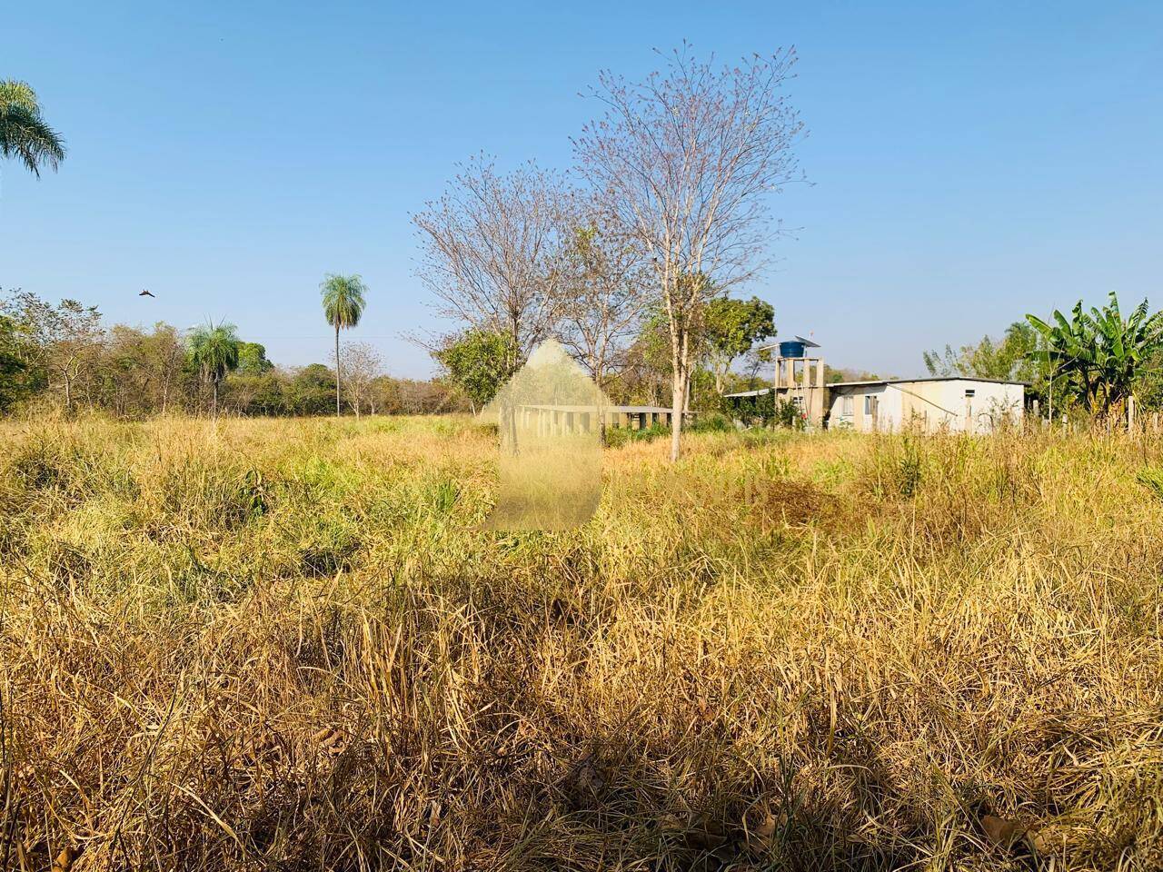 Fazenda à venda com 2 quartos, 100m² - Foto 17