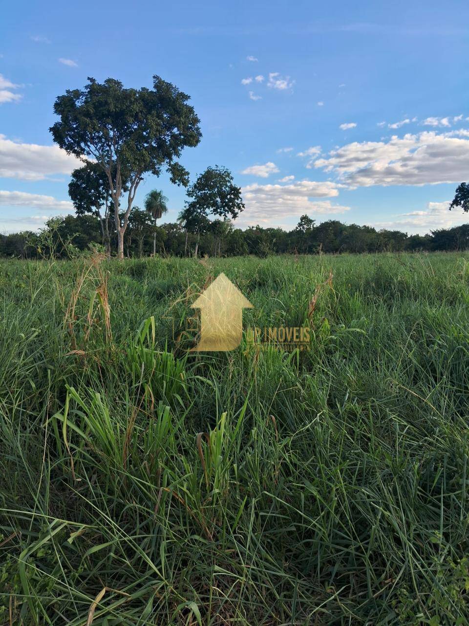 Fazenda à venda com 2 quartos, 100m² - Foto 11