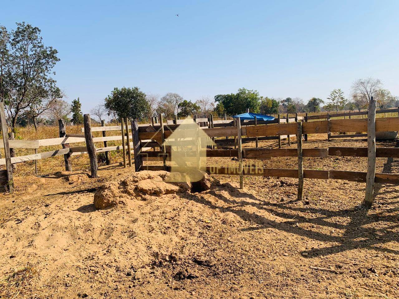 Fazenda à venda com 2 quartos, 100m² - Foto 15