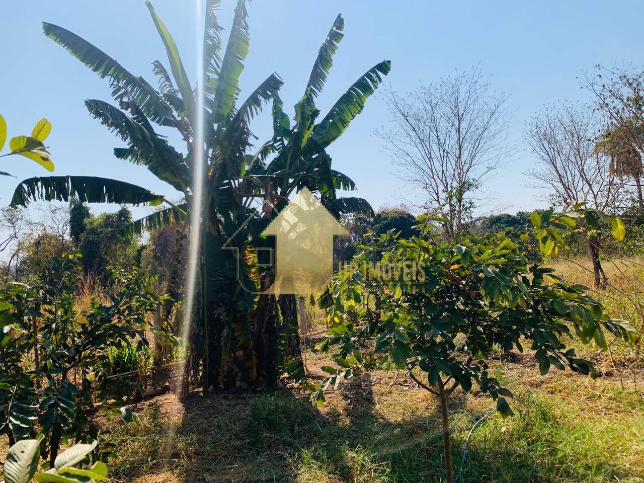 Fazenda à venda com 2 quartos, 100m² - Foto 13