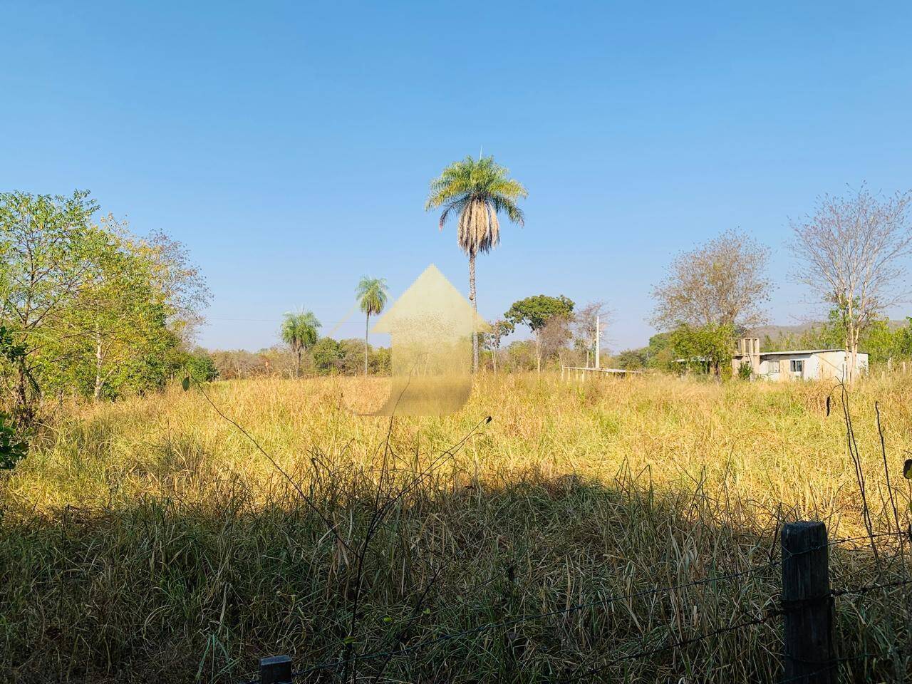 Fazenda à venda com 2 quartos, 100m² - Foto 14