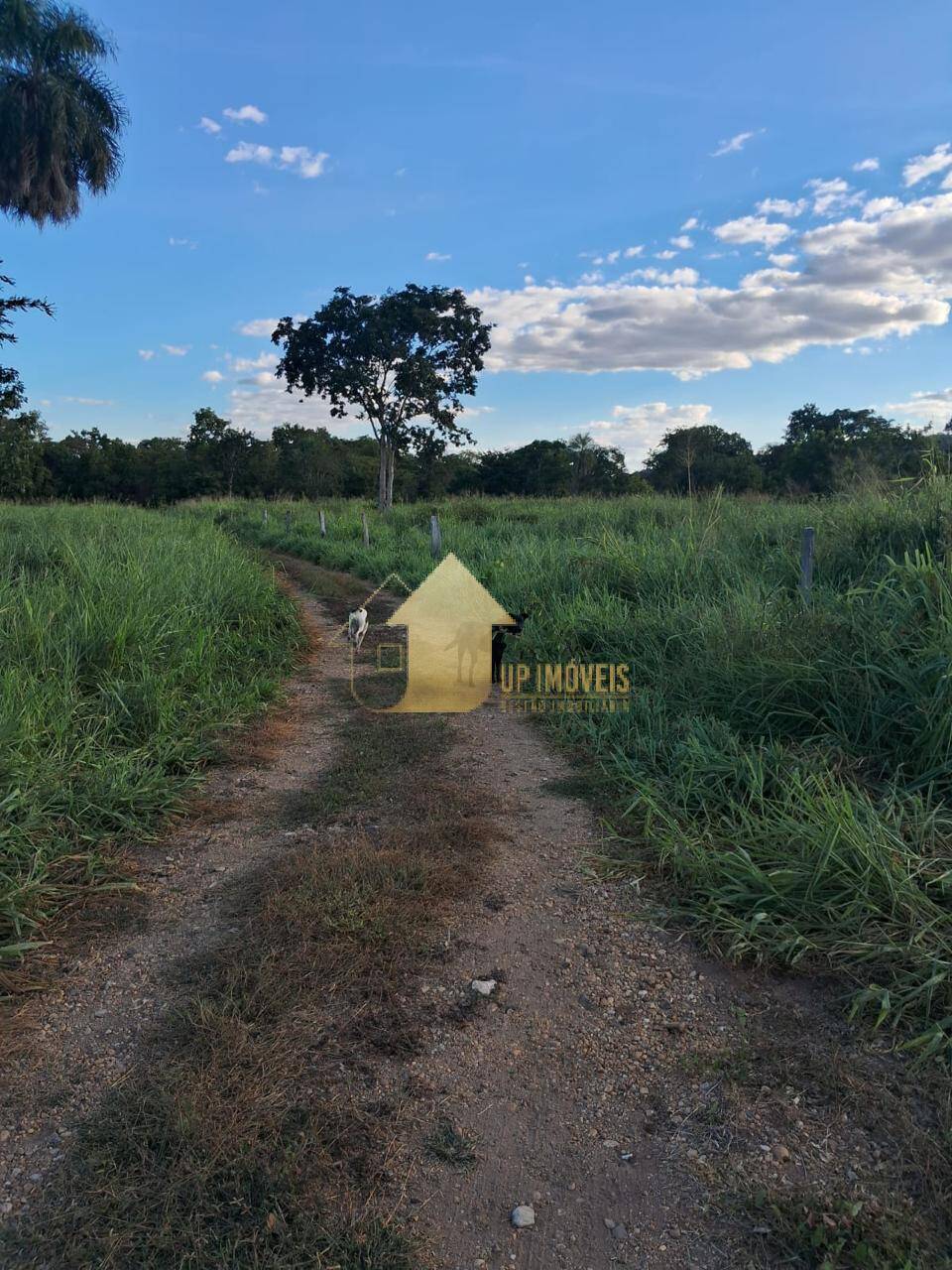 Fazenda à venda com 2 quartos, 100m² - Foto 1