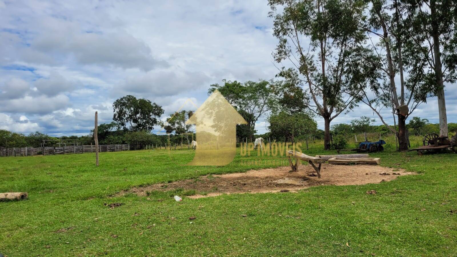 Fazenda à venda com 2 quartos, 984m² - Foto 5