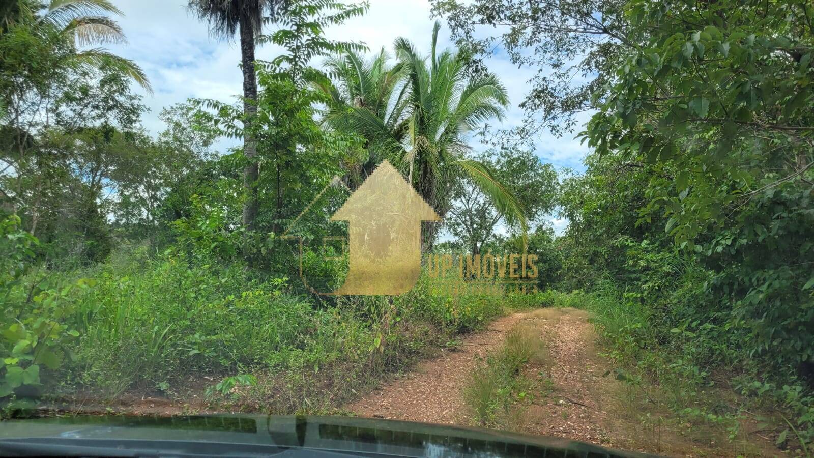 Fazenda à venda com 2 quartos, 984m² - Foto 6