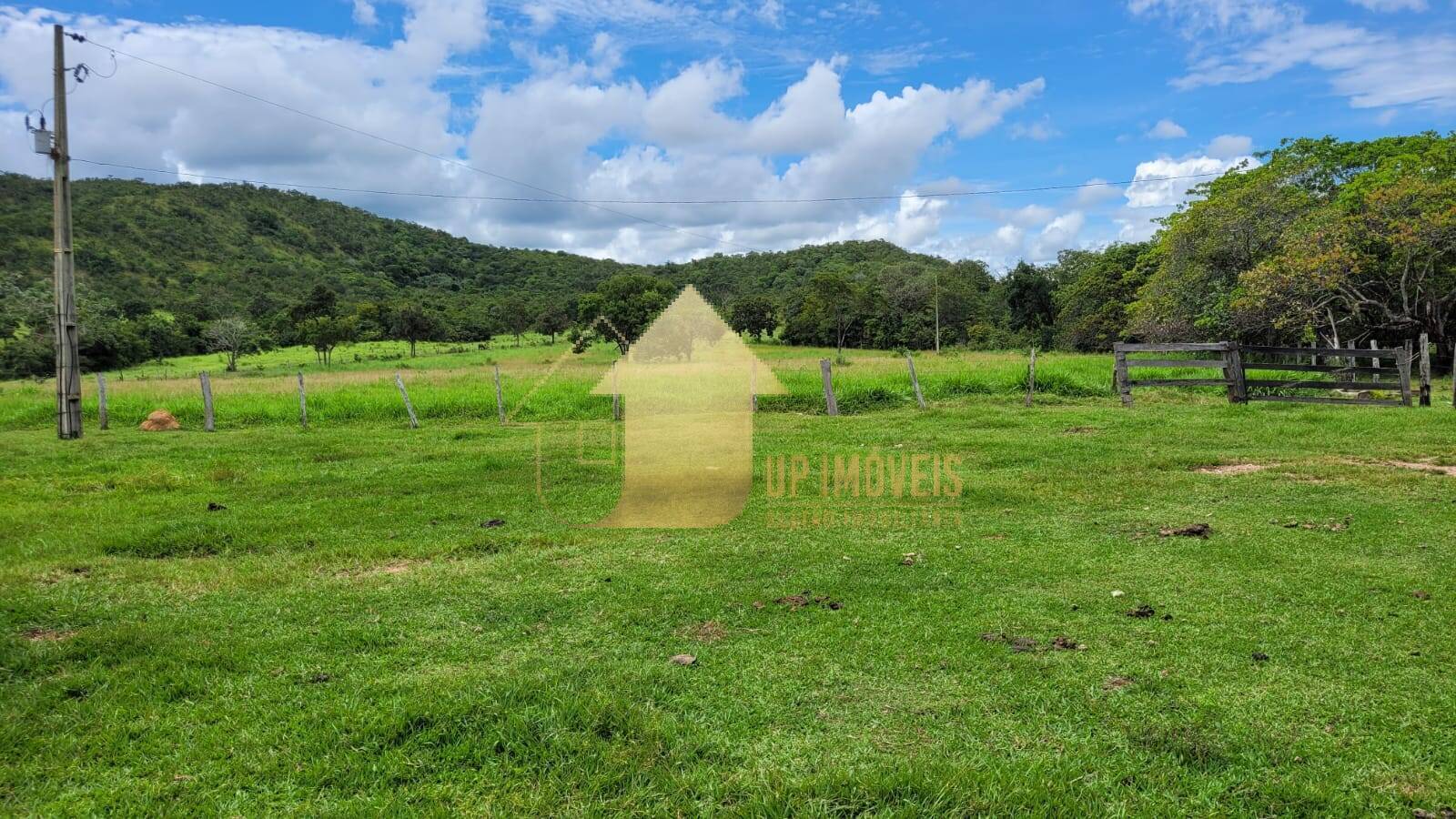 Fazenda à venda com 2 quartos, 984m² - Foto 1