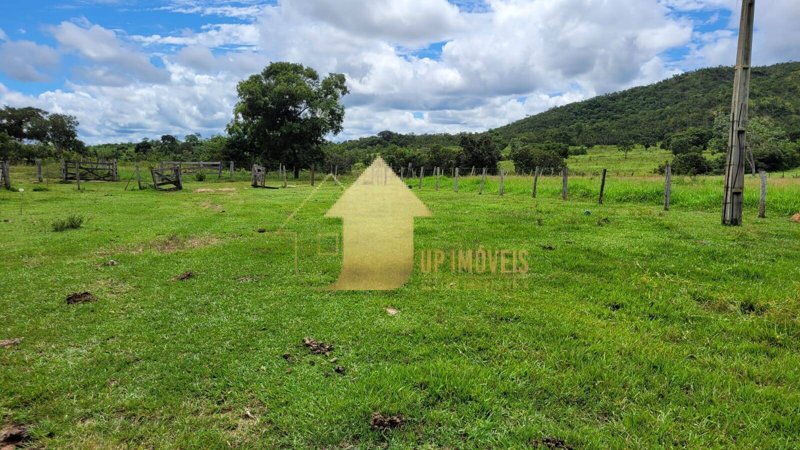 Fazenda à venda com 2 quartos, 984m² - Foto 2