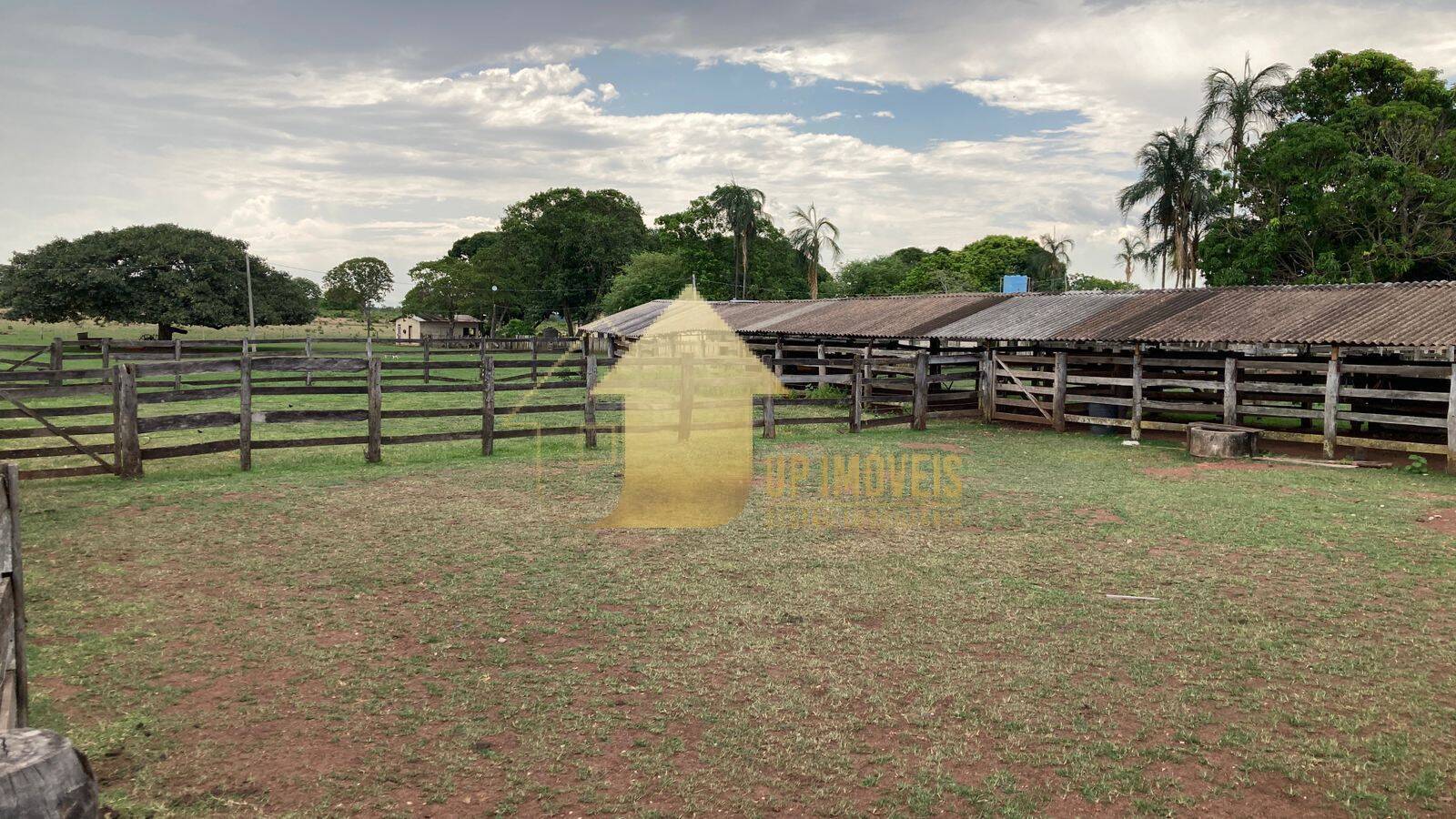 Fazenda à venda com 4 quartos, 3000m² - Foto 3