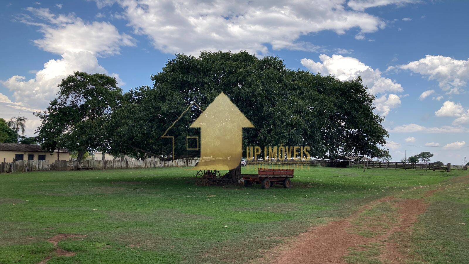 Fazenda à venda com 4 quartos, 3000m² - Foto 5