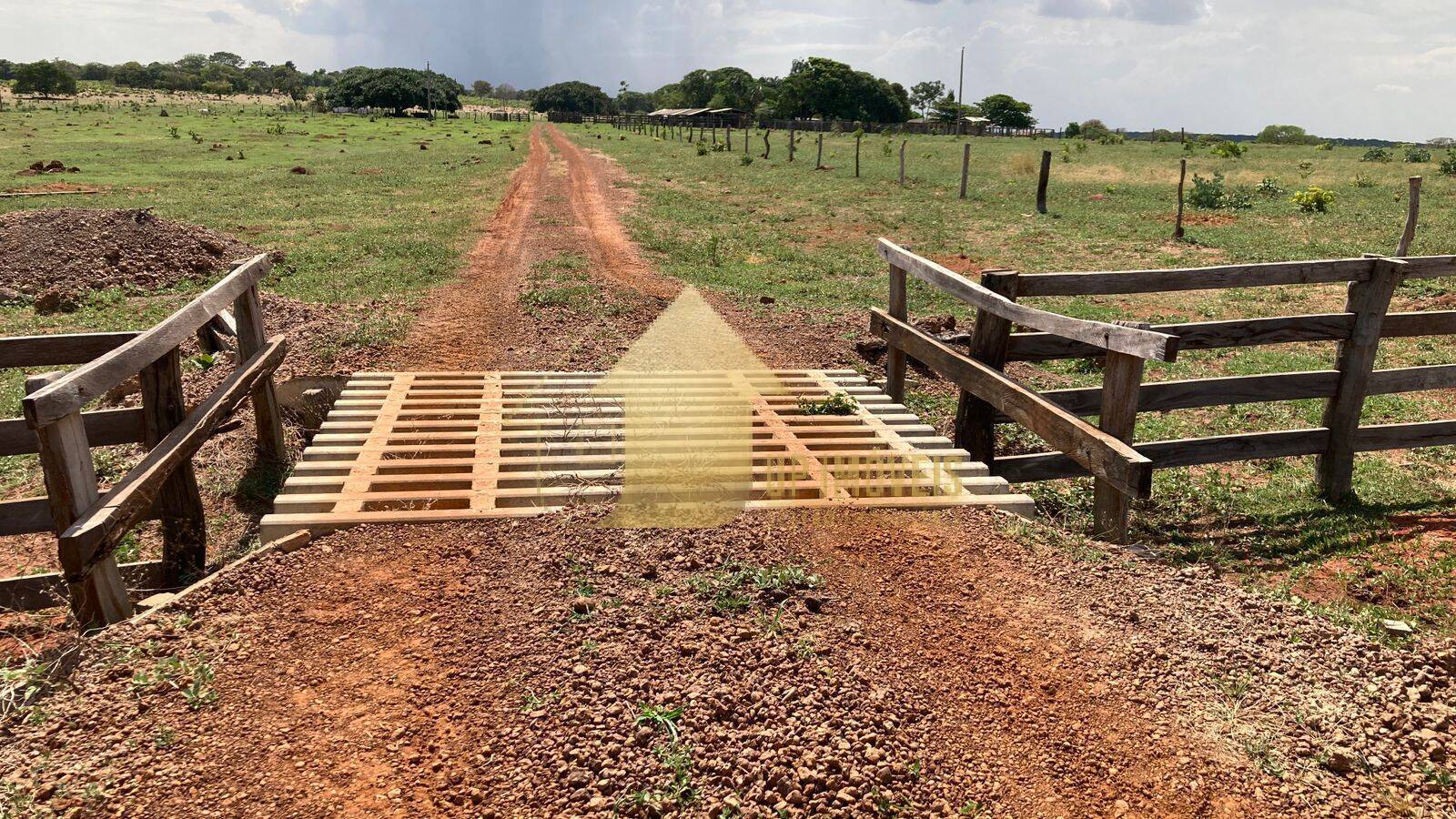 Fazenda à venda com 4 quartos, 3000m² - Foto 7