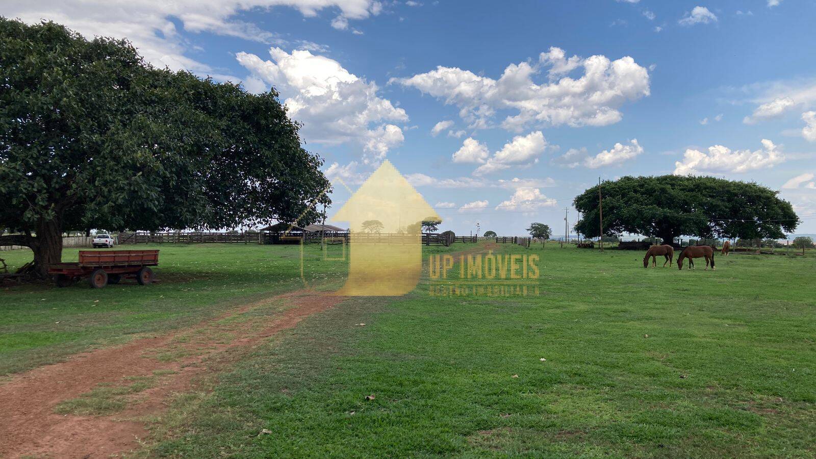 Fazenda à venda com 4 quartos, 3000m² - Foto 9
